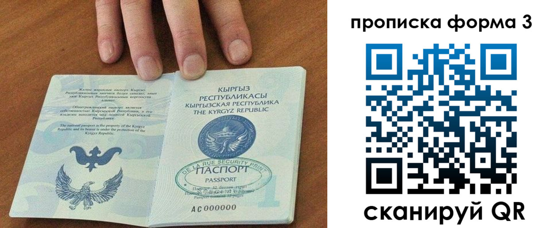 прописка 2025 в Владимирской области
