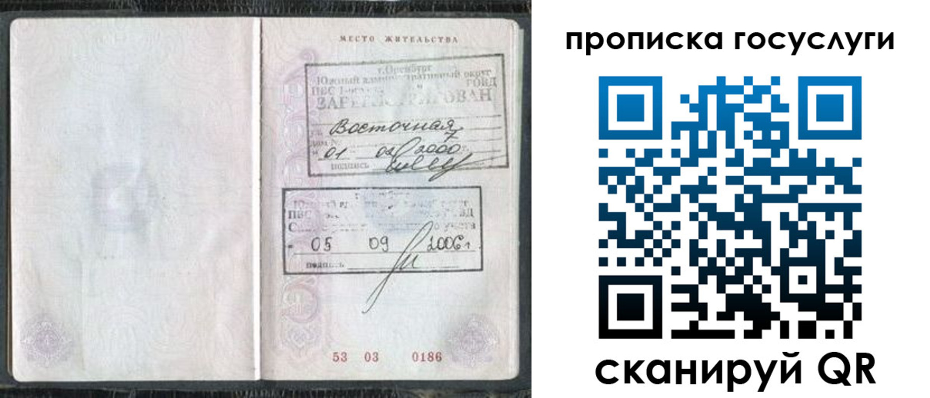 регистрация для школы в Владимирской области
